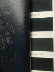 to think old passports were black, not blue