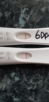 TWW Jan/Feb 2020