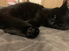 Let’s share photos of our beloved pets!!