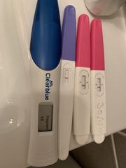 Coming off the pill to conceive