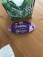 See what MNers thought of Cushelle Facial tissues (reported to not fall apart in the wash!)