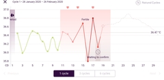 Basal body temperature newbie - how to read the chart?