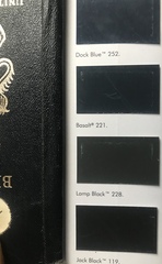to think old passports were black, not blue