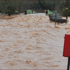 Is the amount of rain we've had bothering anyone else?