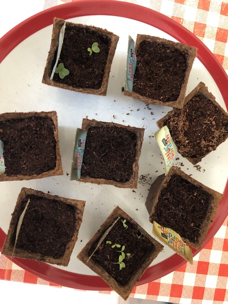 Total newbie, please help! All advice welcome