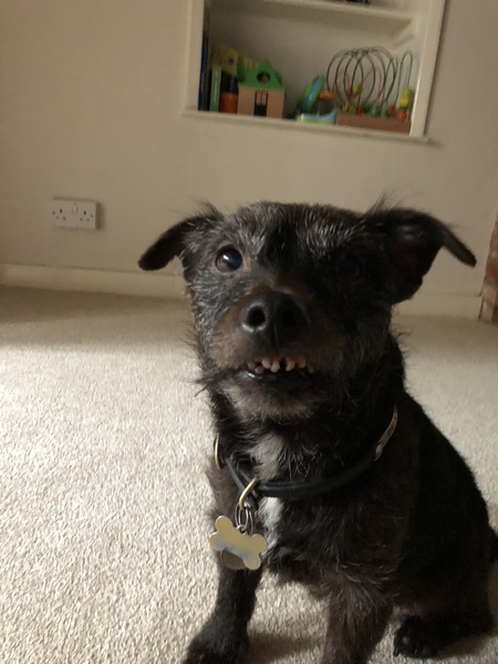 Dec19/Jan20 IVF Graduates