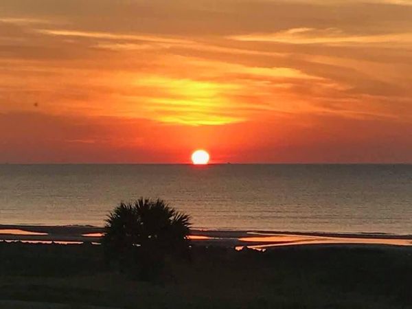 Any Witches Here? Part 11