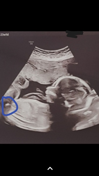 Is this what I think it is???