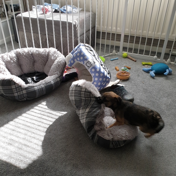 The 'Positive Mental Health' Corona virus thread Part III