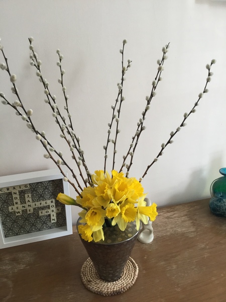 The 'Positive Mental Health' Corona virus thread Part II