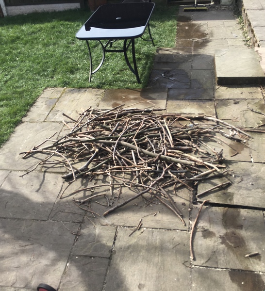 Suggestions for this stick pile?