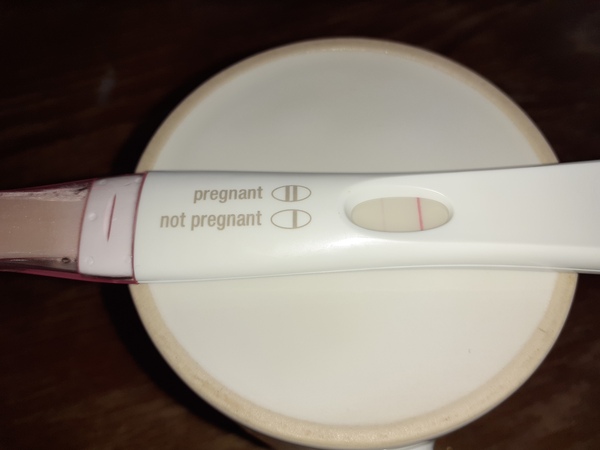 ABC Infertility
