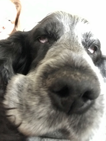 The 'Positive Mental Health' Corona virus thread Part II