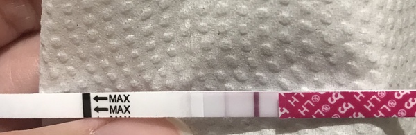 TTC after miscarriage - March 2020