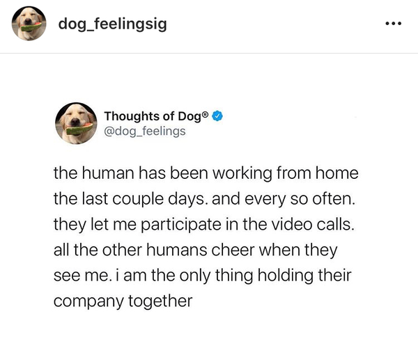 The 'Positive Mental Health' Corona virus thread Part II