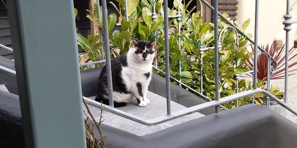 What's your DCat up to today? (Thread 7!)