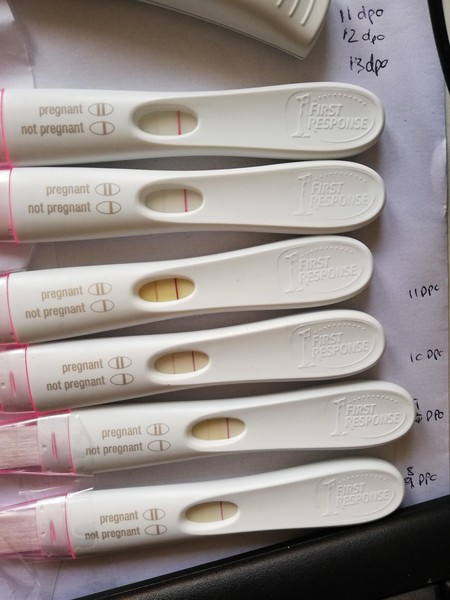 December 2020 babies
