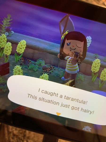 Animal Crossing- New Horizons