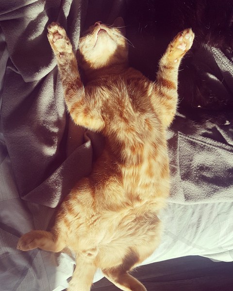 Comfy!