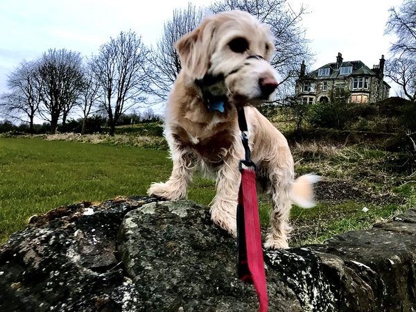 What are your pets up to today?