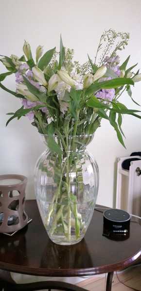 Bloom and Wild