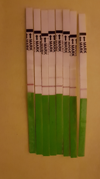 Positive ovulation test?