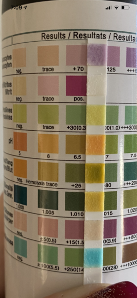 Urine infection help? Posting traffic