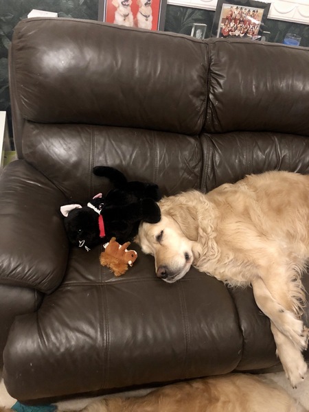 The 'Positive Mental Health' Corona virus thread Part III