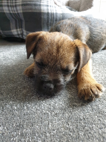 The 'Positive Mental Health' Corona virus thread Part III