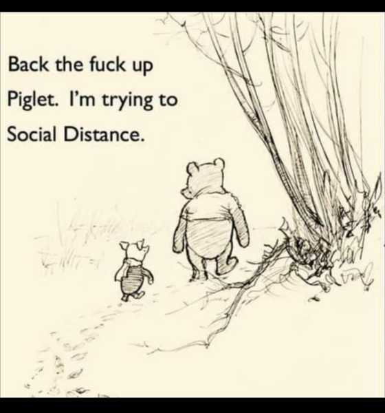 AIBU to ask for your favourite isolation memes?