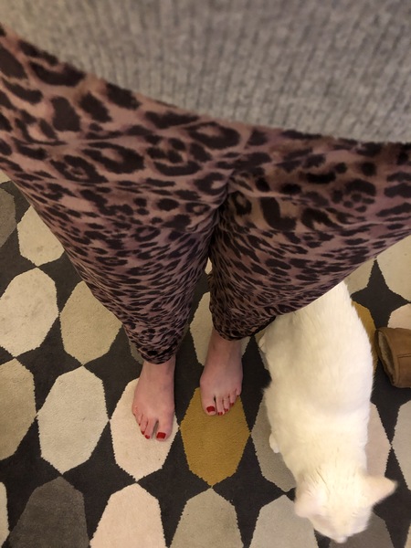 Outfit of the Day Thread... Shopping our wardrobes (as if we have a choice!)