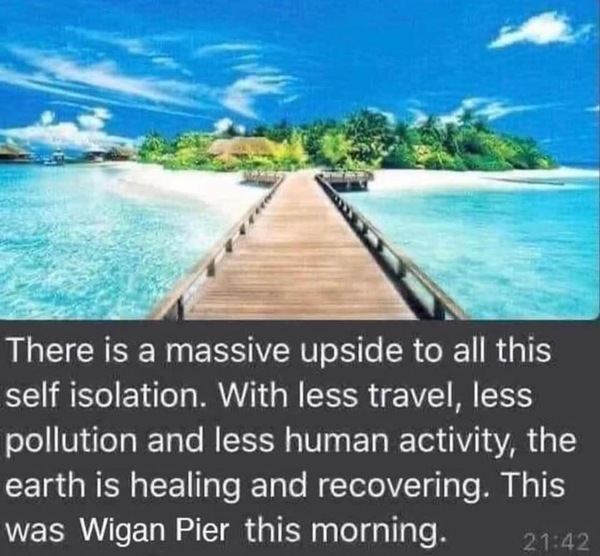 AIBU to ask for your favourite isolation memes?