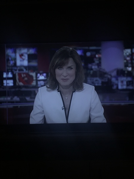 Fiona Bruce’s necklace