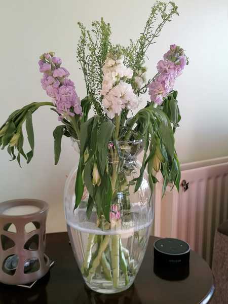 Bloom and Wild