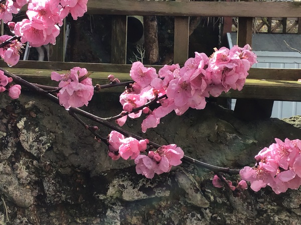 Emotional, spiritual and compassionate preparation