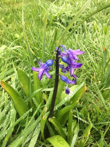 Jan '20 - Week 10 Low Carb Bootcamp - One more week of Bootcamp