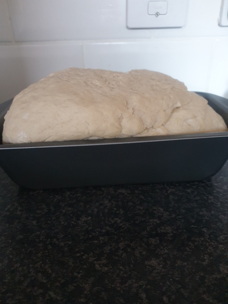My fast action yeast has a best before of October 2019