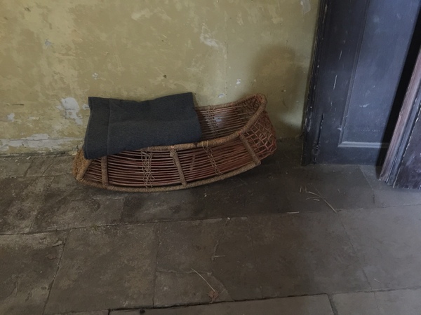 Swagger Inn thread 164 --Gorillas-- HBFs in the mist - aka Where's the bloody Sun?