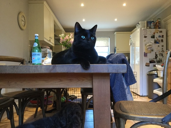 A thread for calm - peace, happy thoughts, support.