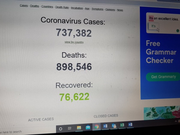 wtf is going on with the WHO website