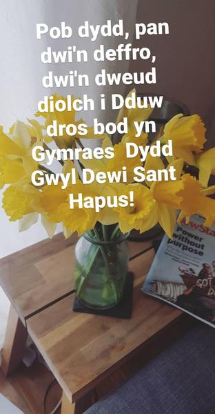 Dydd Gwyl Dewi Hapus Happy St David's Day
