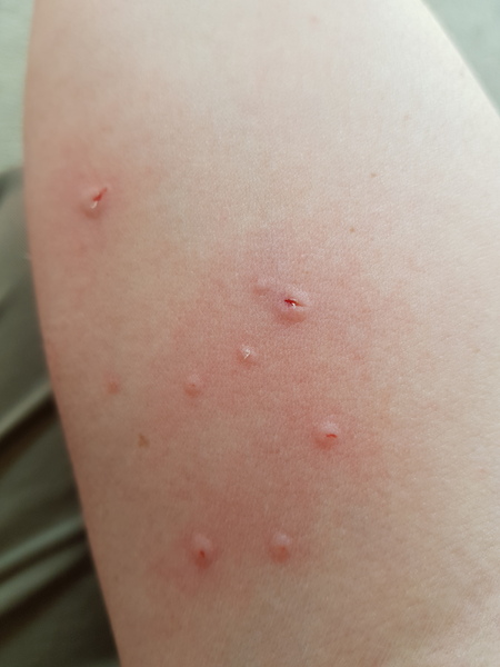 Thug Cat part 2. What, has this thing appeared again tonight?