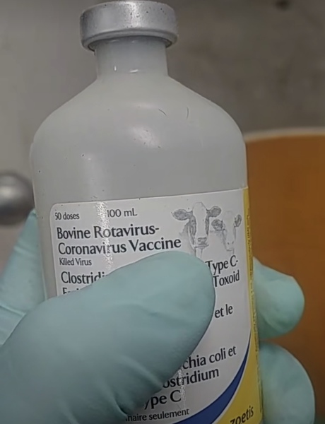 Is Johnson doing the right thing?