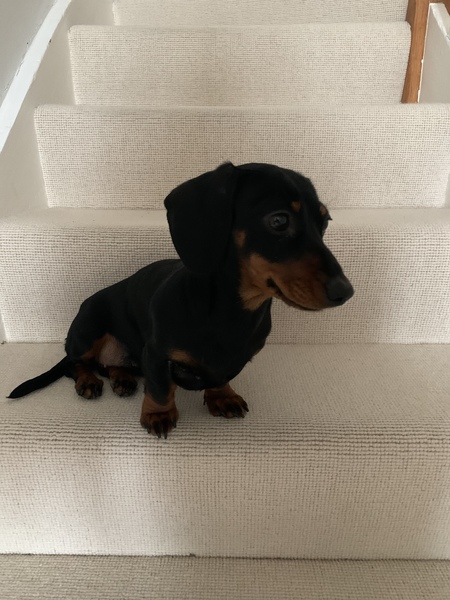 Show me your favourite thing in your house