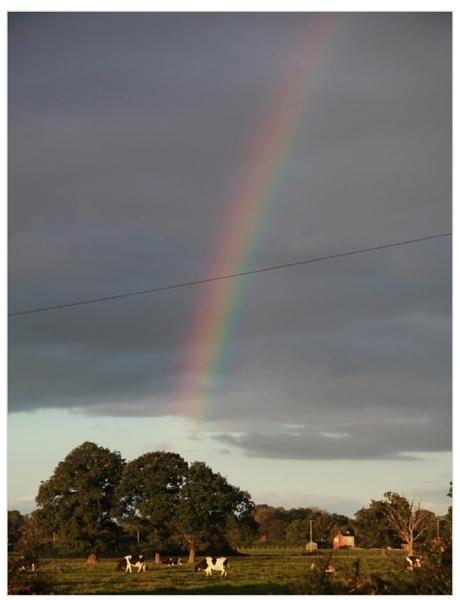 Please don't put a rainbow in your window!