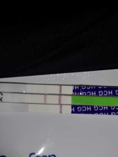 bfp or crappy test?