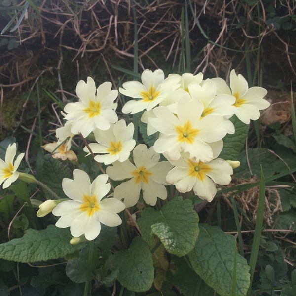 Any Witches Here? Part 11