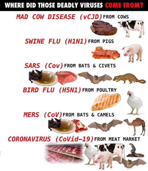 How do you think life will change in the future?