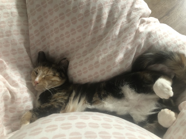 Why has my 8 month old became a dick?