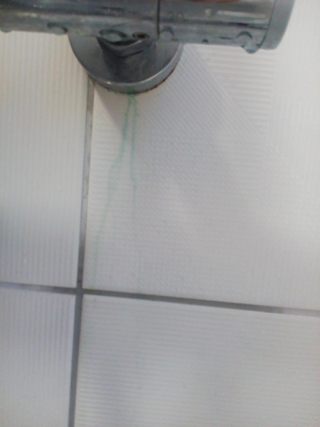 Green staining coming from shower. Shower or plumbers fault.